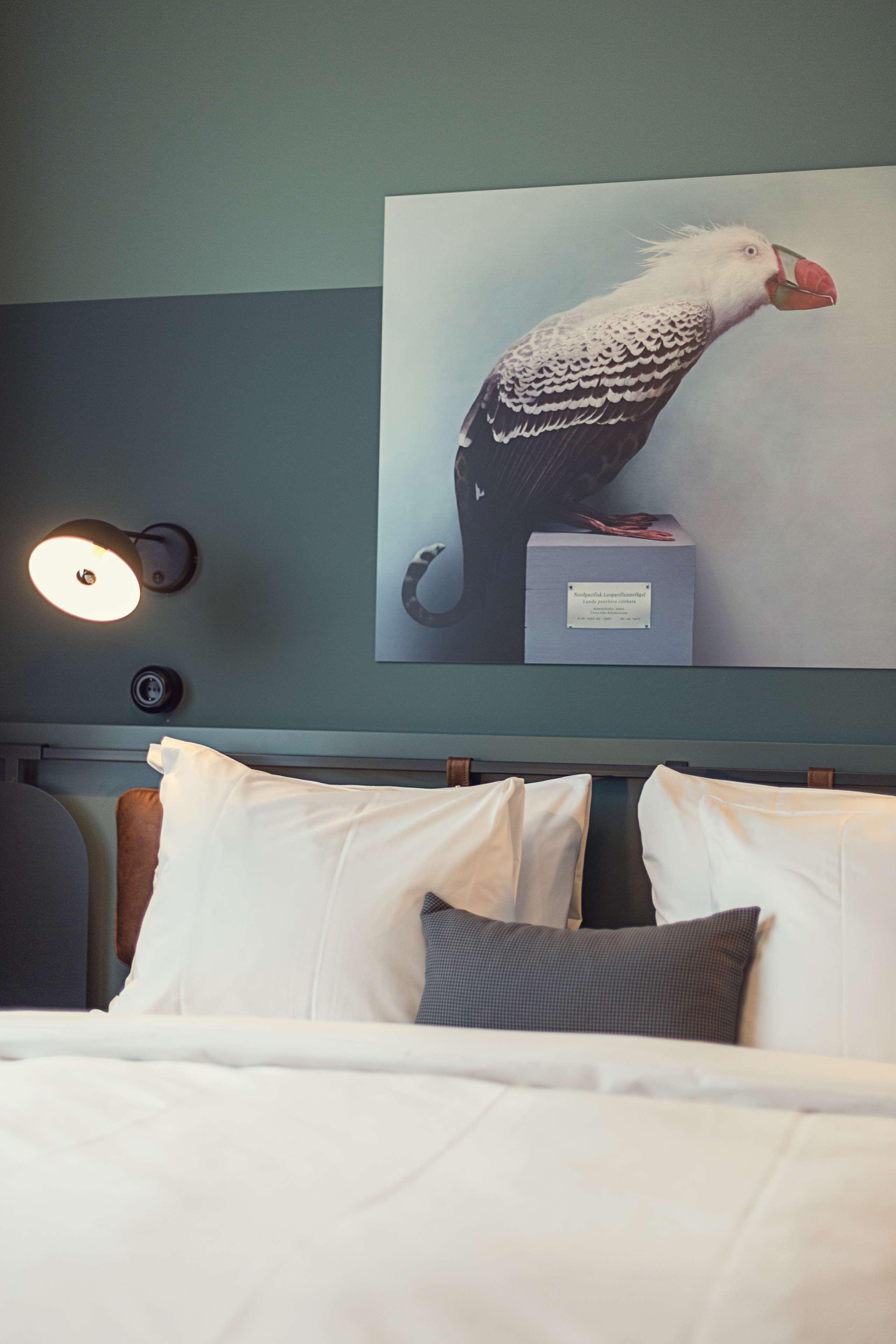 Best Western Plus Fort Worth Forest Hill Inn & Suites Exterior foto