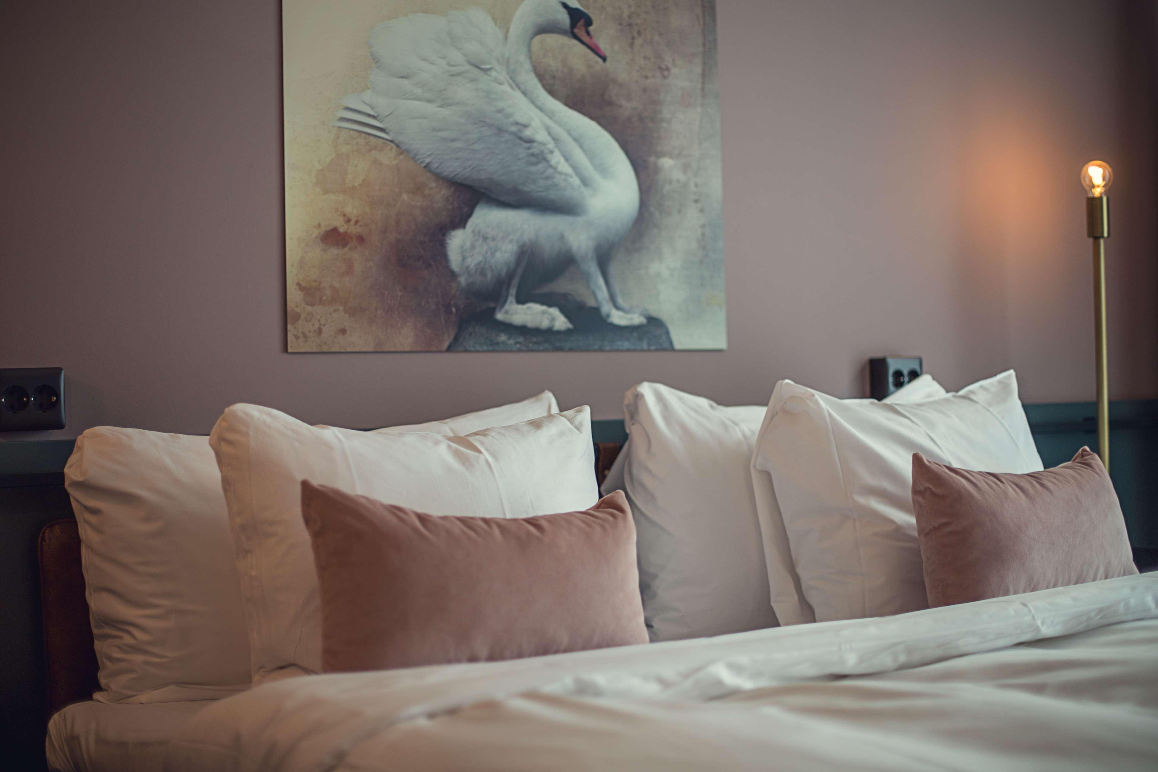 Best Western Plus Fort Worth Forest Hill Inn & Suites Exterior foto